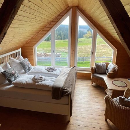 Ferienhaus Rennsteig-Wander-Mountainbike und Langlaufparadies Friedrichshohe  Exterior foto