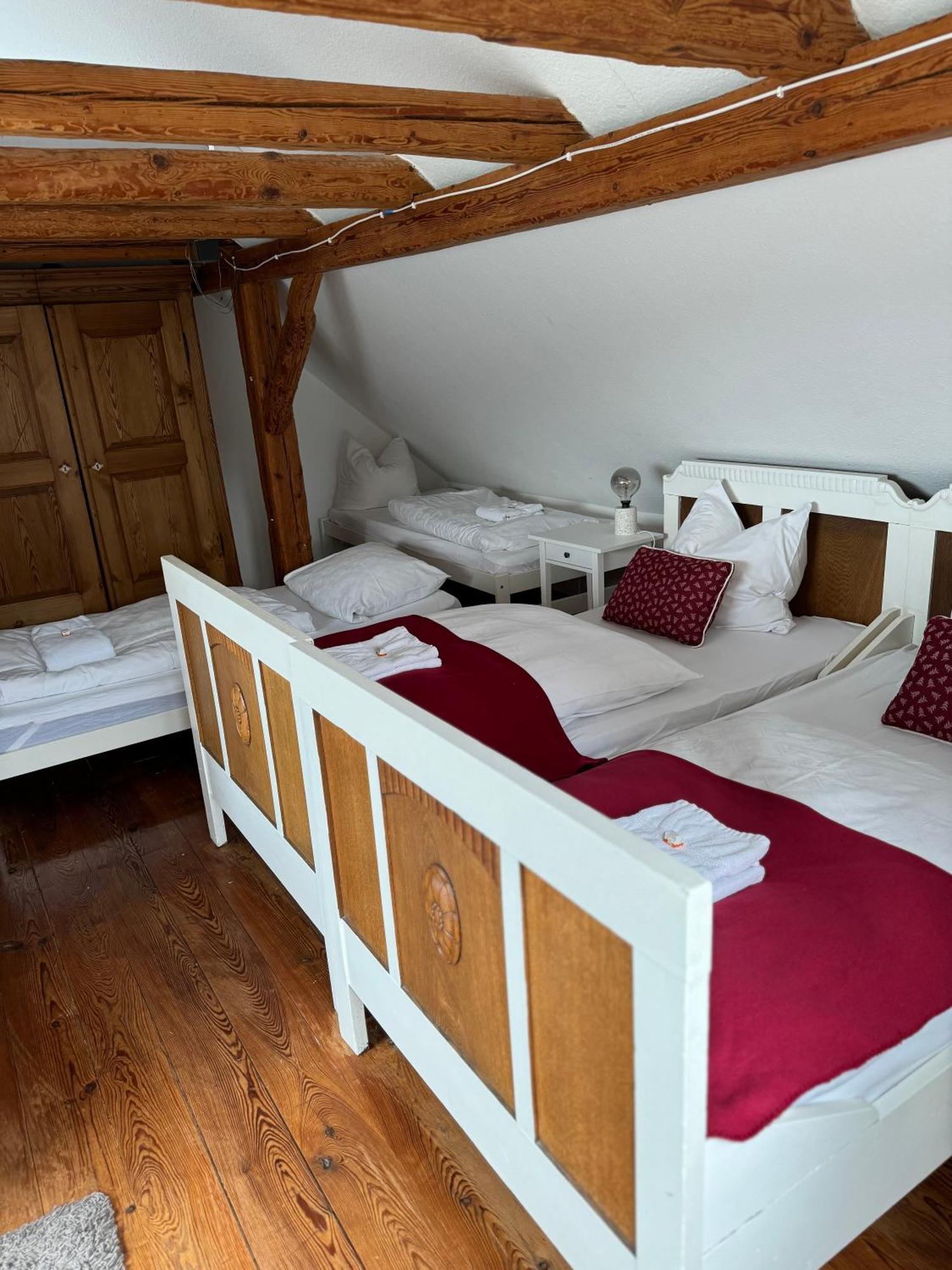 Ferienhaus Rennsteig-Wander-Mountainbike und Langlaufparadies Friedrichshohe  Exterior foto